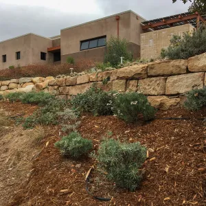 Start of new Trail, Island Section below PCC