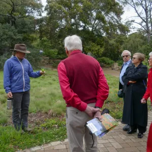 2020 Blaksley Bliss Brunch, Meadow Tour