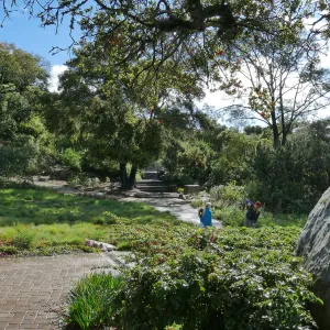 Visitor photographing children at the bottom of the Meadow