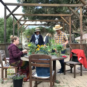 Bringing the Wild Inside floral arrangement workshop with Heather Wehnau-Federlein