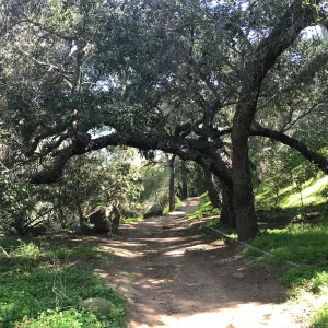 What's That Plant? field trip to Tucker's Grove