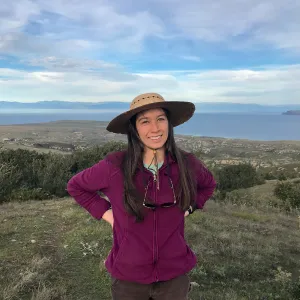 Caitlin Lam, View of Mainland Santa Barbara and Santa Cruz, Island Oak Forest, Black Mountain