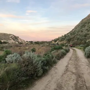 View of Santa Cruz Island lit up in Sunset, Main road from Santa Rosa Island Research Station Lodge
