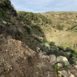 Trail and canyon walls, Cherry Canyon