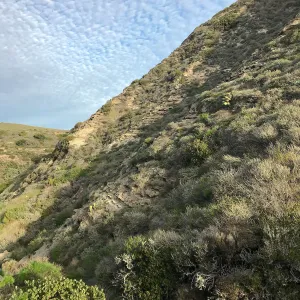 Trail and canyon walls, Cherry Canyon