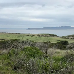 Santa Cruz Island, Historic Ranch House, Hike to Lobo Canyon