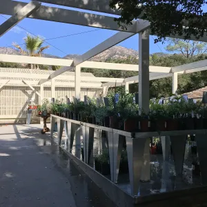 Completed Garden Growers Nursery upgrade project