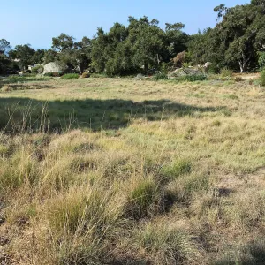 Meadow revival progress