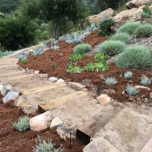 Completed trail in new Island Section