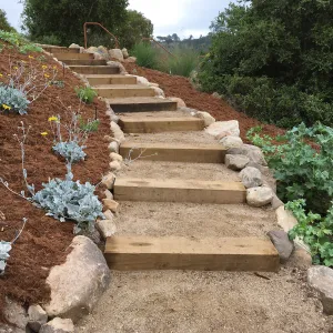 Completed trail in new Island Section