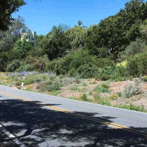 Tunnel Triangle looking south