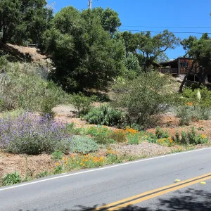Tunnel Triangle looking north