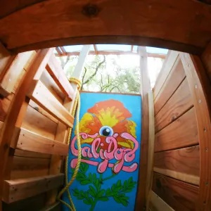 Cali-Pop Casita