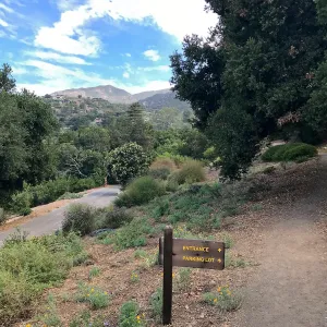 Southwest Trail, looking north