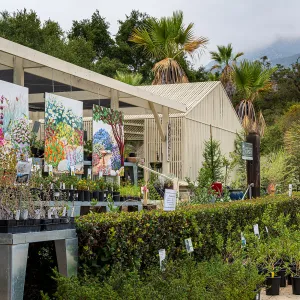 Garden Growers Nursery