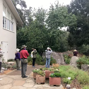 Morning Bird Walk