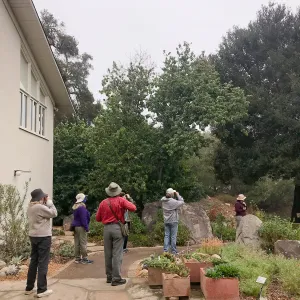 Morning Bird Walk