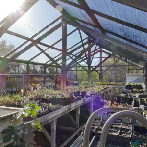 Interior of Liner House at Horticulture Unit, looking southwest