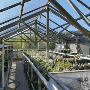 Interior of Liner House at Horticulture Unit, looking northwest