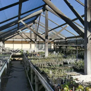 Interior of Liner House at Horticulture Unit, looking southeast