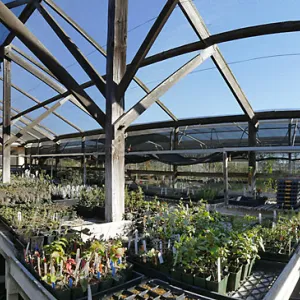 Interior Panorama of Liner House at Horticulture Unit