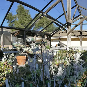 Interior Panorama of Liner House at Horticulture Unit