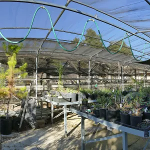 Looking north to northeast at south side of the Liner House at Horticulture Unit
