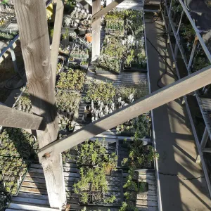 Liner House at Horticulture Unit