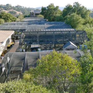 Horticulture Unit Shade Structures looking south from the upper parking lot