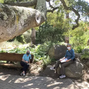 Garden visitors at reopening