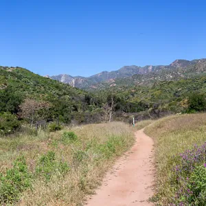 Panorama of post-burn landscape, Ventura River Preserve, Ojai, CA, Thomas Fire Survey - Mapping Recovery project