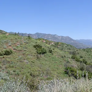 Post-burn chaparral landscape, Rice Canyon Trail at the Ventura River Preserve/LPNF, Ojai, CA, Thomas Fire Survey - Mapping Recovery project