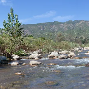 Panorama of the Ventura River, Ventura River Preserve, Ojai, CA, Thomas Fire Survey - Mapping Recovery project