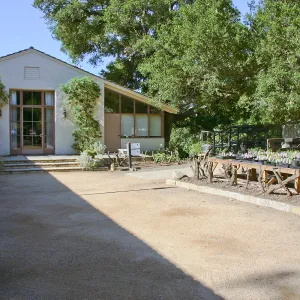 Courtyard, Blaksley Library, and Garden Growers Nursery