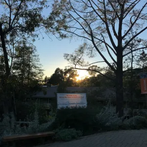 COVID-19 protocol sign at the entrance at sunset