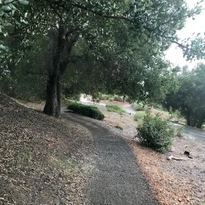 Hail on the Southwest Trail