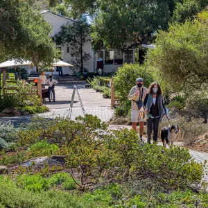 Face Coverings in the Garden
