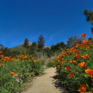 View from 2021 Meadow photo spot