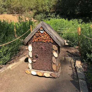 Refurbished gnome houses returned to the Maze.