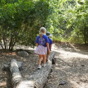 Acorn Adventurers Summer Camp at the climbing logs