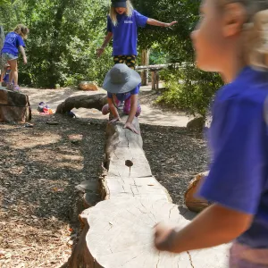 Acorn Adventurers Summer Camp at the climbing logs