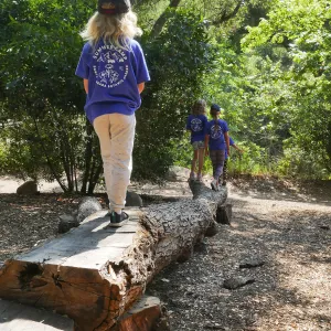 Acorn Adventurers Summer Camp at the climbing logs