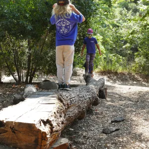 Acorn Adventurers Summer Camp at the climbing logs