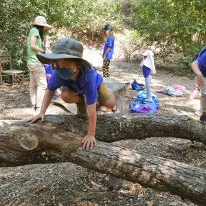 Acorn Adventurers Summer Camp at the climbing logs