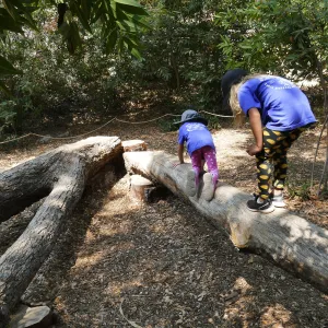 Acorn Adventurers Summer Camp at the climbing logs