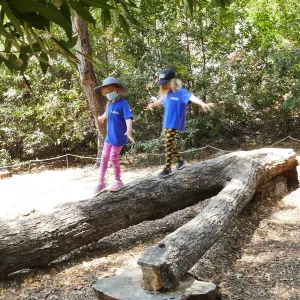 Acorn Adventurers Summer Camp at the climbing logs
