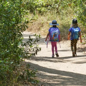 Acorn Adventurers Summer Camp