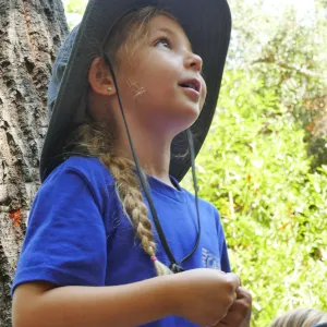 Acorn Adventurers Summer Camper