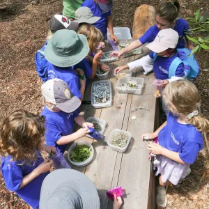 Acorn Adventurers Summer Camp Potpourri Activity