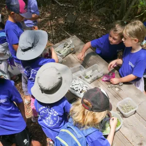 Acorn Adventurers Summer Camp Potpourri Activity